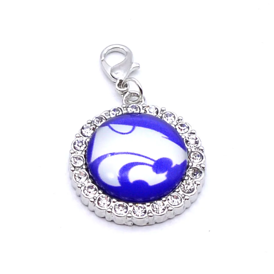 Подвески Университет Национальная организация студенческого спорта дикие кошки