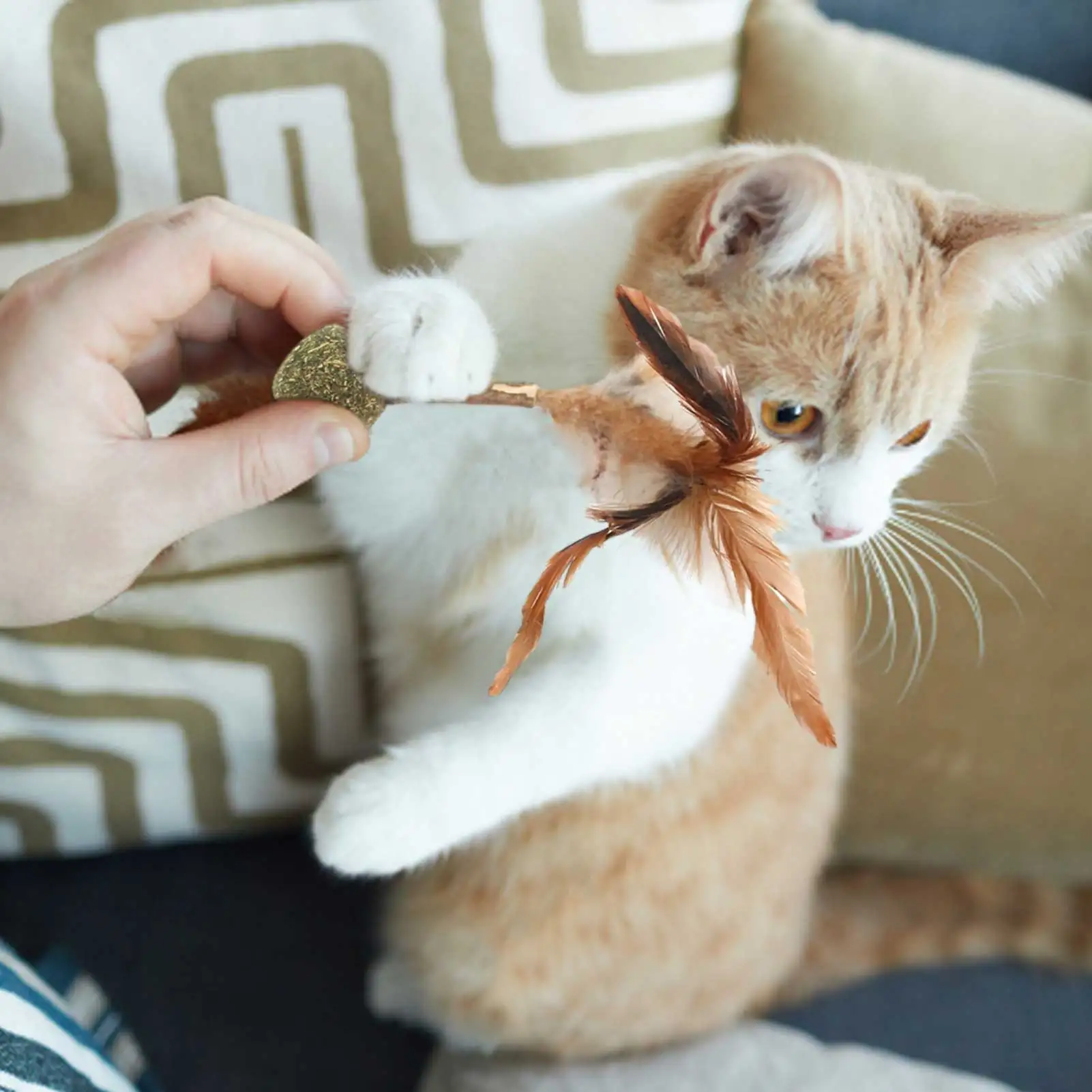 

2pcs Cat Catnip Toy Molar Teeth Cleaning Soft Feather Interactive Toy Pet Molar Tooth Ball