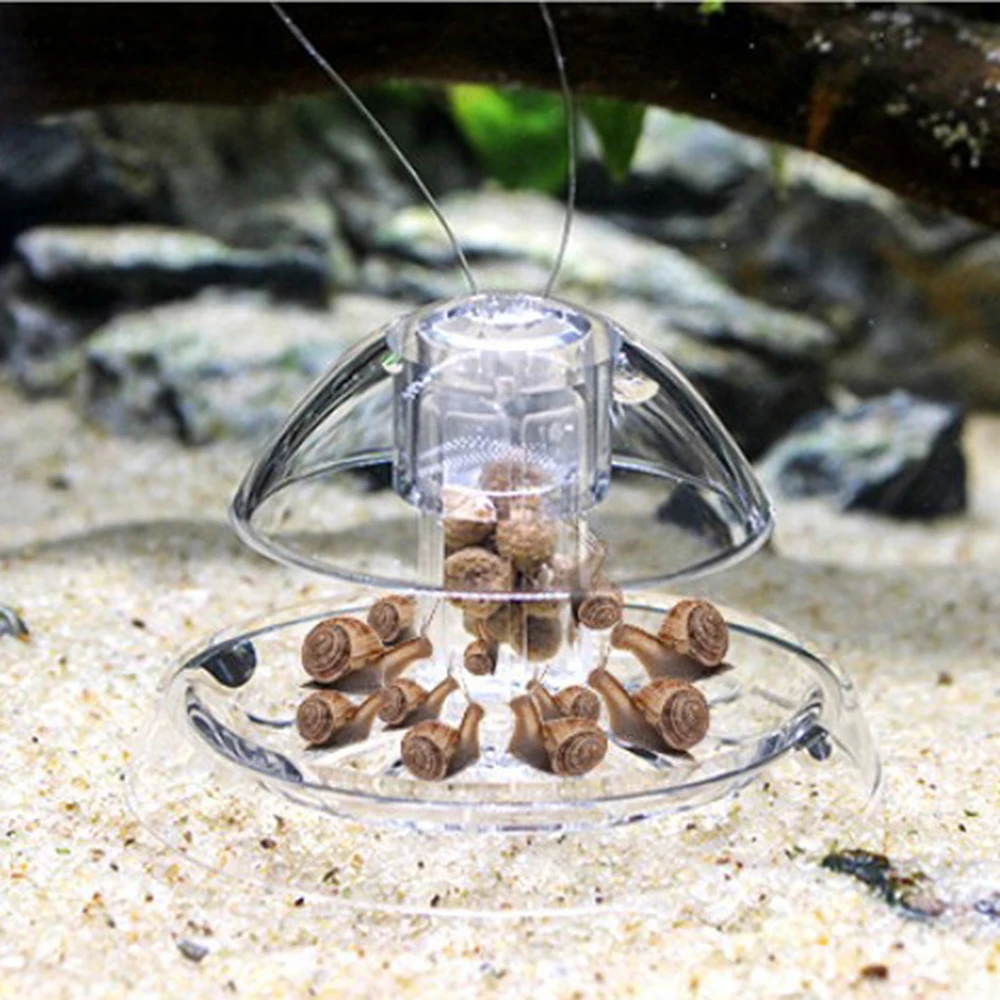 

Aquarium Fish Plant Tank Plastic Clear Snail Trap Catcher Plants Planarian Pest Catch Box Leech Environment Clean Tool New