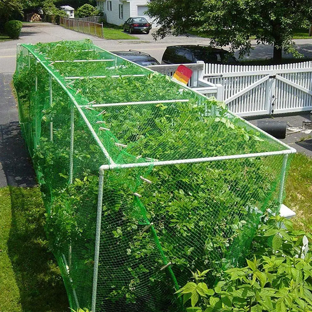 

Garden Plant Netting Vegetable Plants Mesh Net Covers For Fruits Garden Isolation Insect Bird Protection Net Mesh Grow Holder