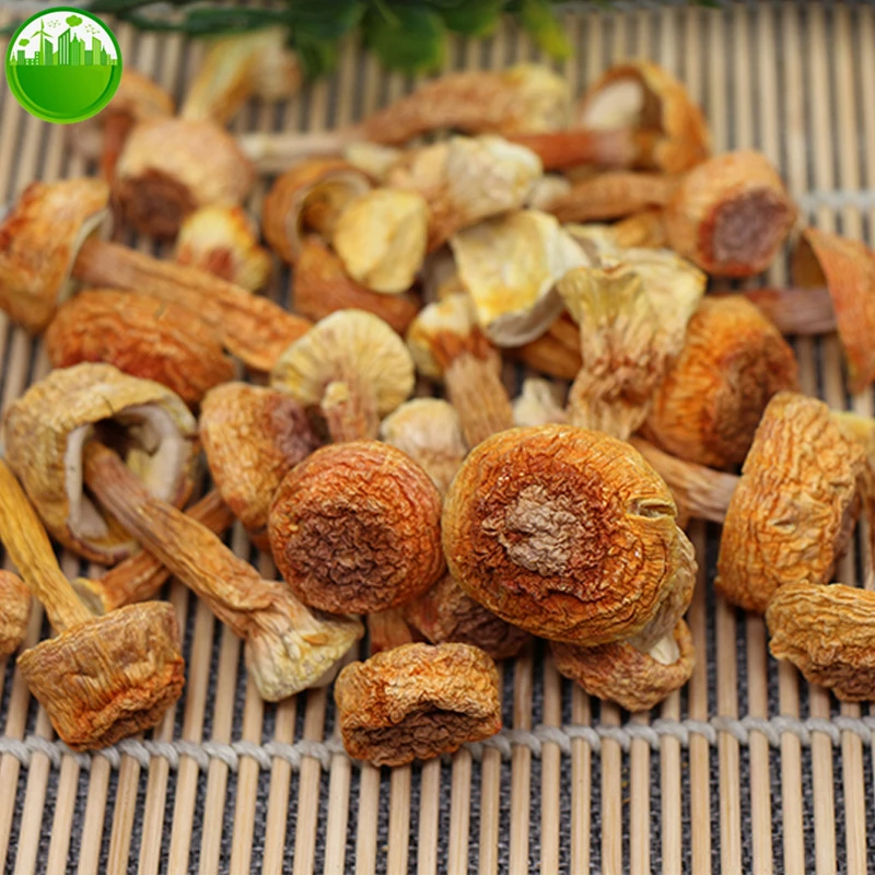 

Agaricus Blazei Murrill Mushroom Himalayas Fungus Organic Dried Almond Mushroom Ji Song Rong Powder