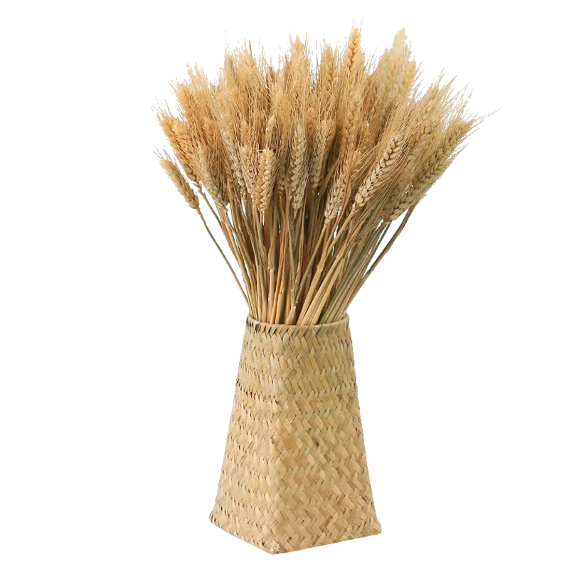 

Real Wheat Ear Flower Natural Dried Flowers Wheat Ears Bouquet For Wedding Party Home Decor DIY Craft