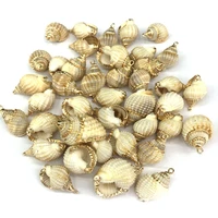 natural shell pendants conch shape mother of pearl exquisite charms for jewelry making diy bracelet necklaces accessories15x25mm