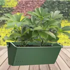 1 шт., настенный держатель для растений