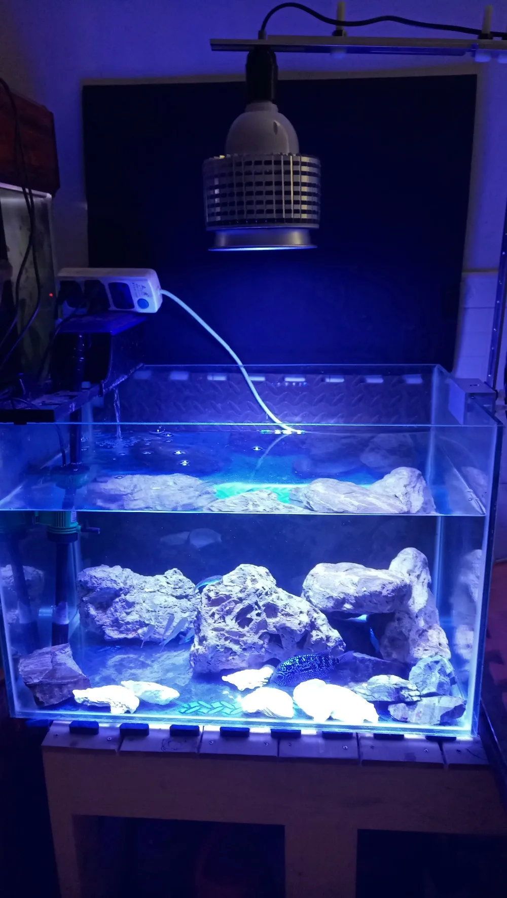 Высокая мощность 40 Вт Светодиодный светильник для аквариума Reef лампа 10 синий 6 белый 2uv для рыб коралловый риф морской SPS LPS