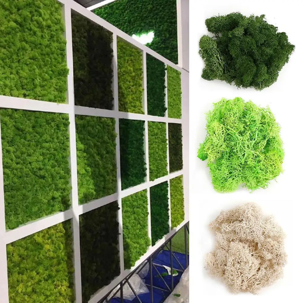 

20g High Quality Artificial Moss Immortal Moss Simulation Green Plant Grass Home Decorative Wall DIY Micro Landscape Accessories
