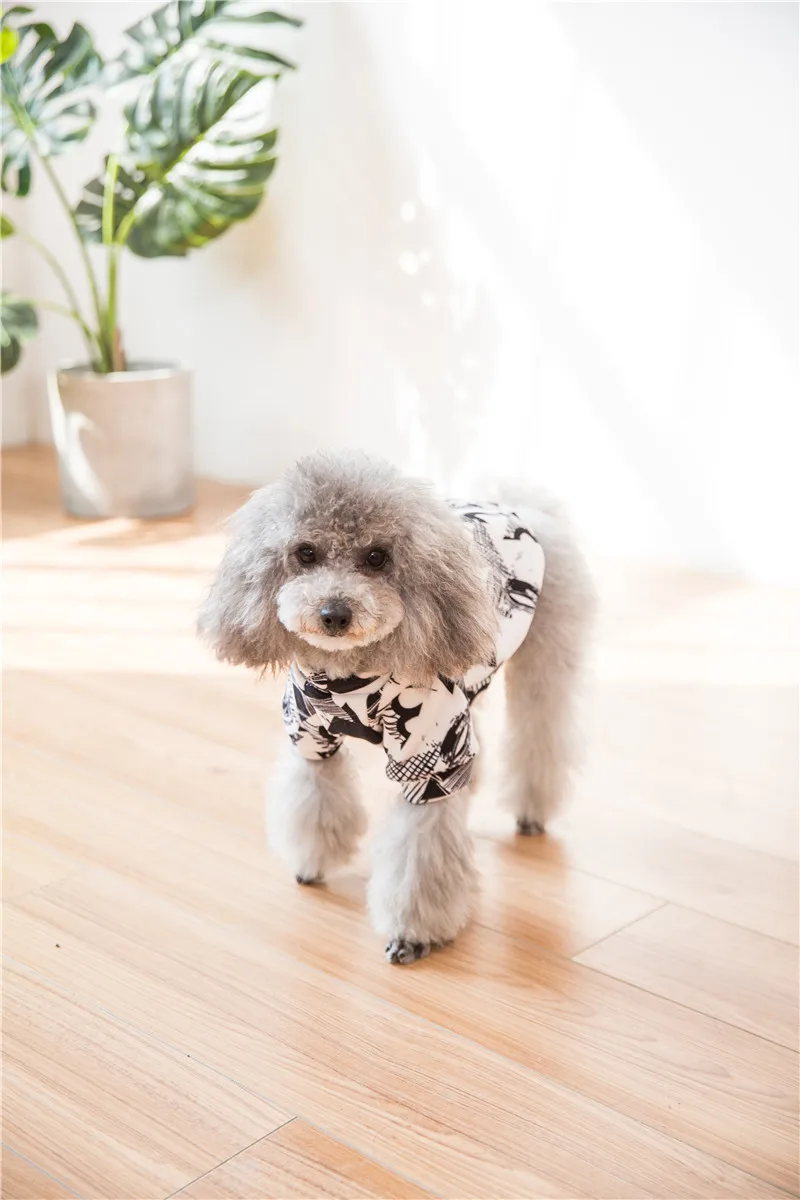 Hipidog/Новинка; Лидер продаж; модные толстовки с капюшоном для собак; одежда для щенков; сезон осень-зима;