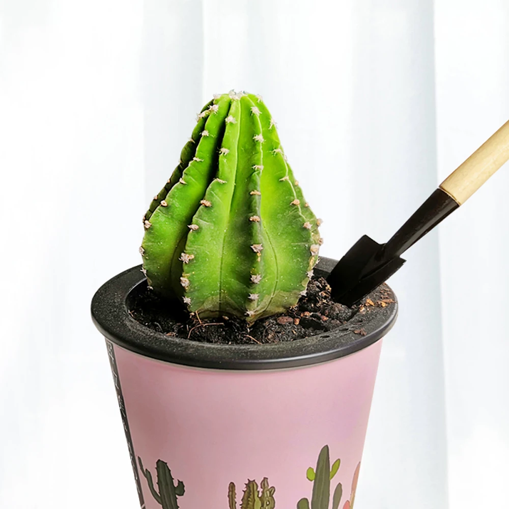 3 шт./компл. лопата грабли мини инструменты для садовых растений с