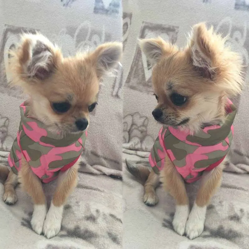 Теплая одежда для маленьких собак ветрозащитное зимнее пальто куртка мягкая