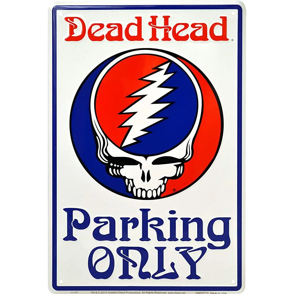 

AIM Grateful Dead Steal Your Face Skull Parking Sign