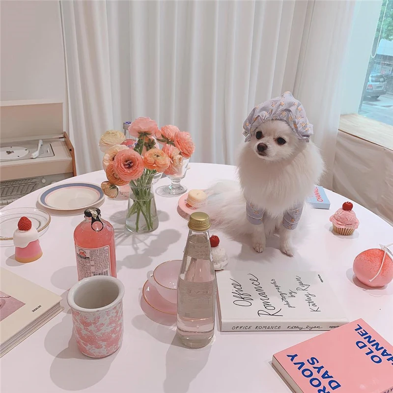 

Four Seasons Wearable Sweet Blue Star-patterned Pajamas Suit Teddy Bichon Schnauzer Small Dog Home Clothes Pet Clothes Hat Suit