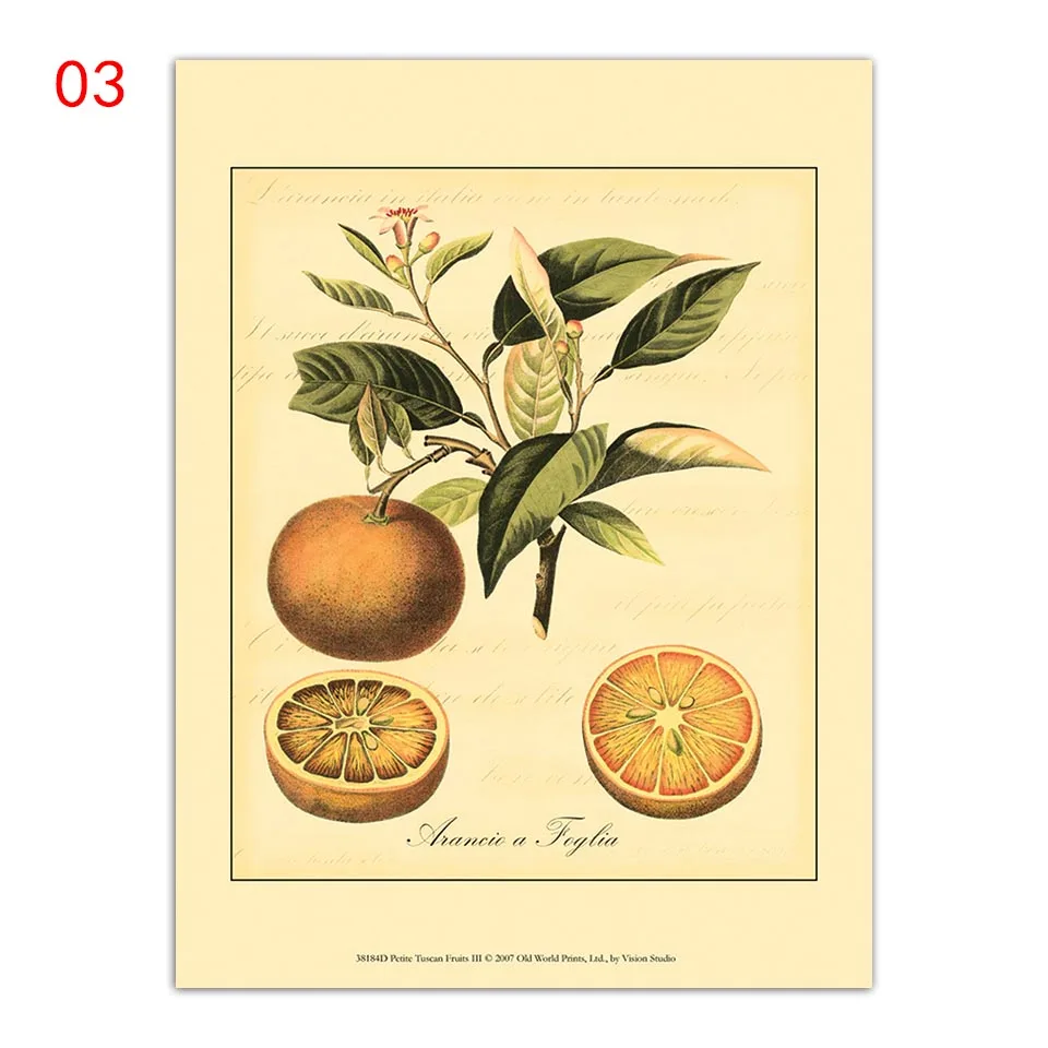 Фруктовые растения дерево Тыква Лимон Апельсин груша Искусство гостиная