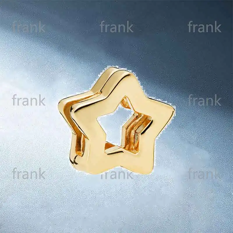 

767544-shine-reflexions star-clip-charm