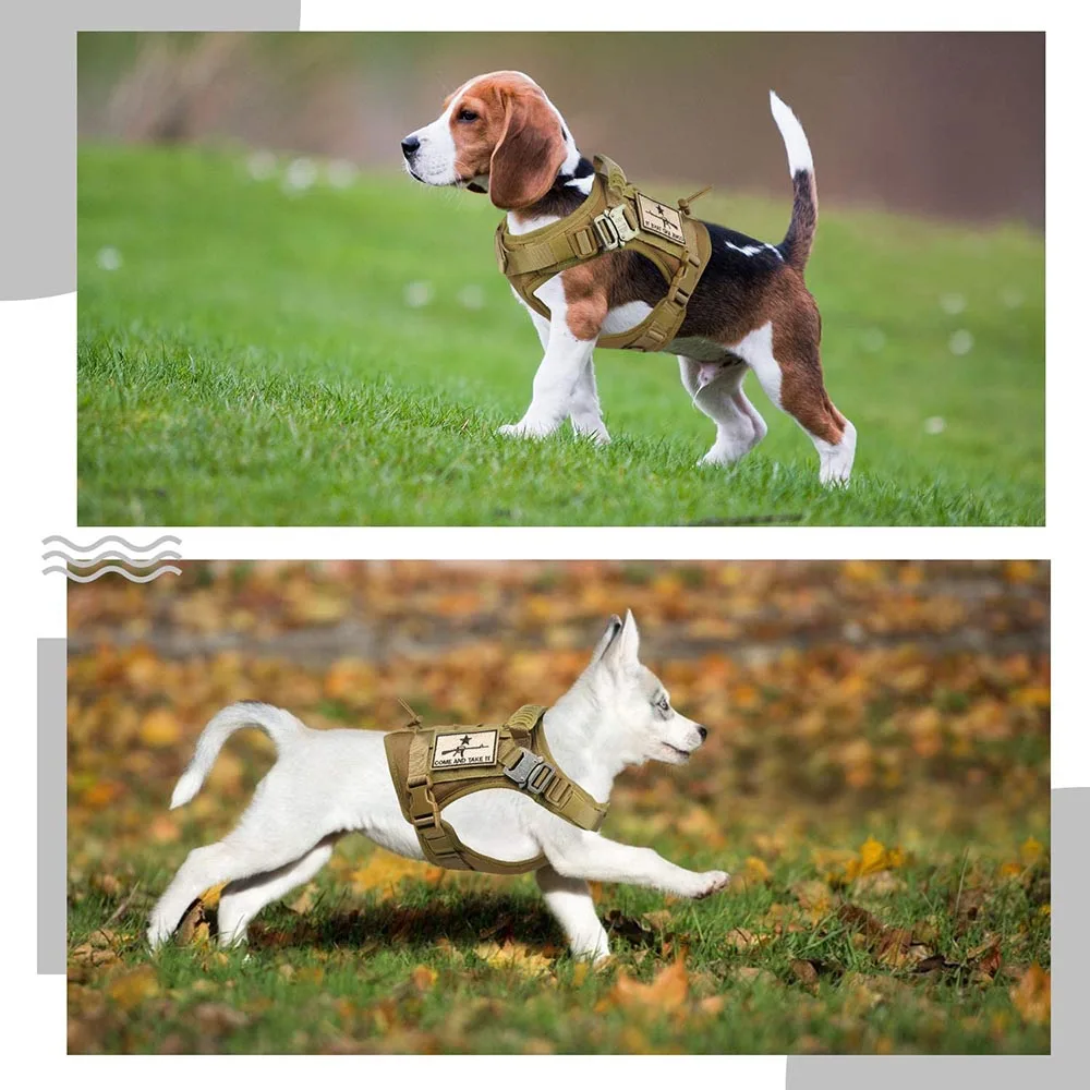 Собачий ремень для велосипеда Fendi Передняя клипса автомобильный меховой рюкзак