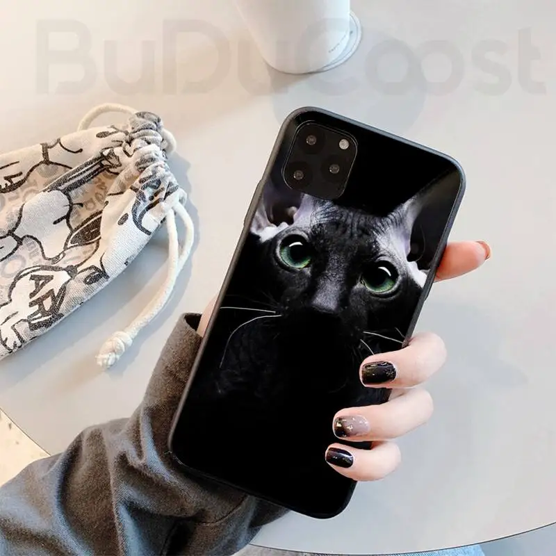

Riccu Black Sphynx Cat Phone Case For iphone 11 12 Mini Pro Max X XS MAX 6 6s 7 8 Plus 5 5S 5SE XR SE2020