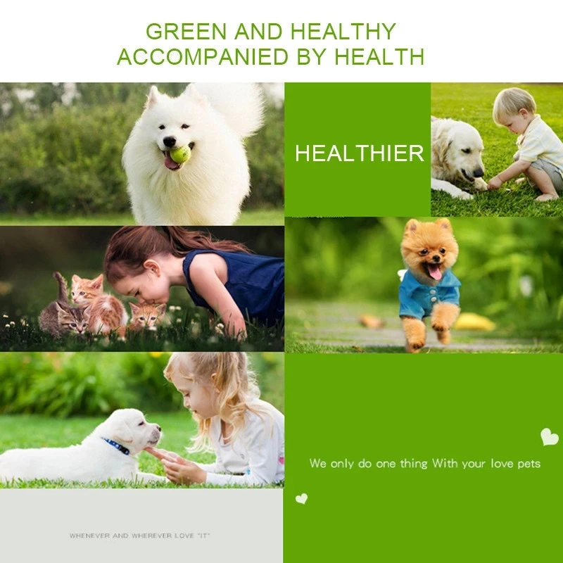 

New Pet Ear Powder, Dog Accessories, Ear Cleaner, Solid Powder, Cat Ear Cleaner, Mosquito Repellent Care Products, Pet Supplies