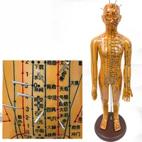 52cm medical chinese medicine meridians acupuncture moxibustion model acupuncture point mannequin acupuncture model faster ships