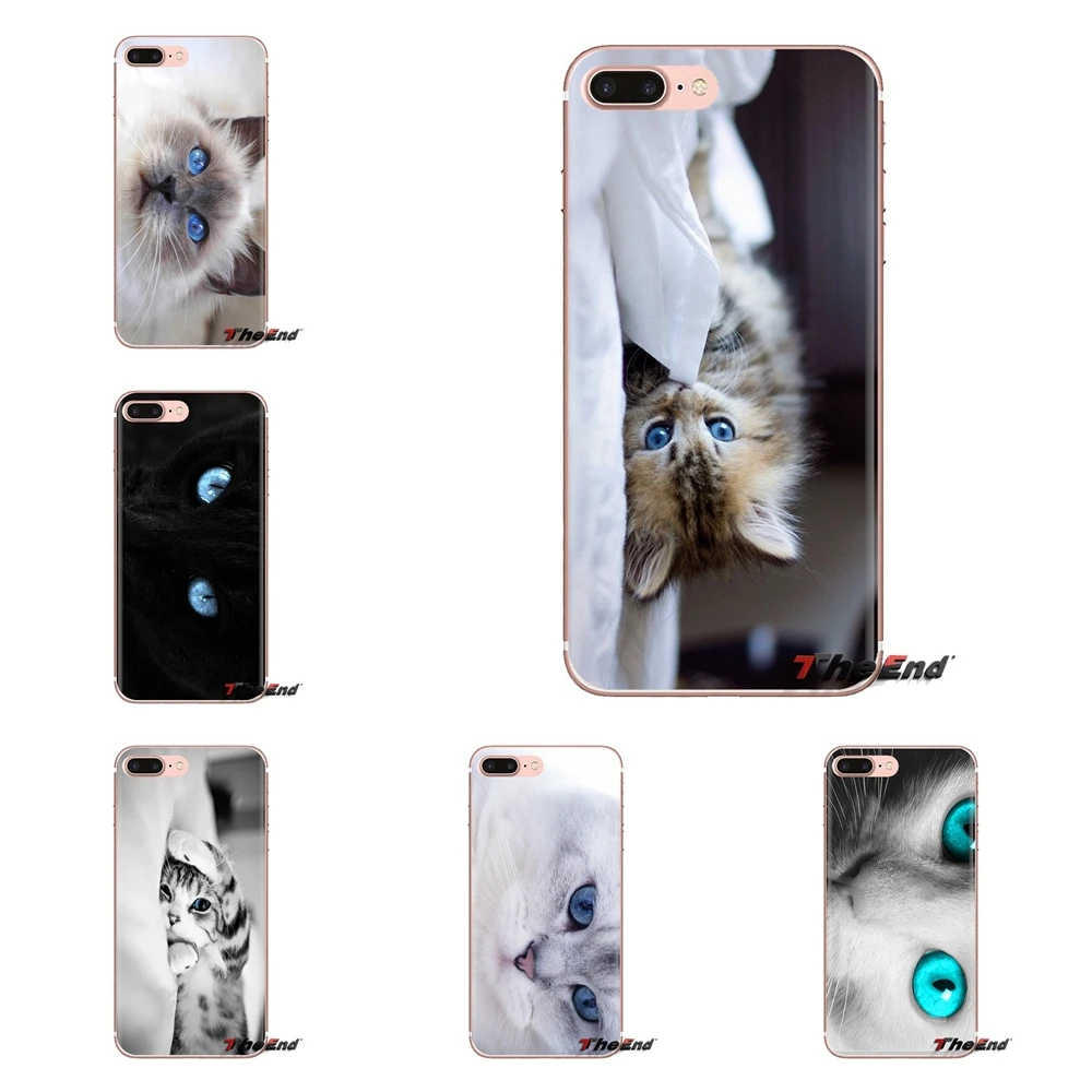 Кошка с голубыми глазами hd обои для iPod Touch Apple iPhone 4 4s 5 5S SE 5C 6 6S 7 8 X XR XS Plus MAX