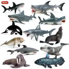 Фигурка морской акулы Oenux Sealife, экшн-фигурка морского аквариума, морской котик, морской Кит, коллекционная игрушка для детей