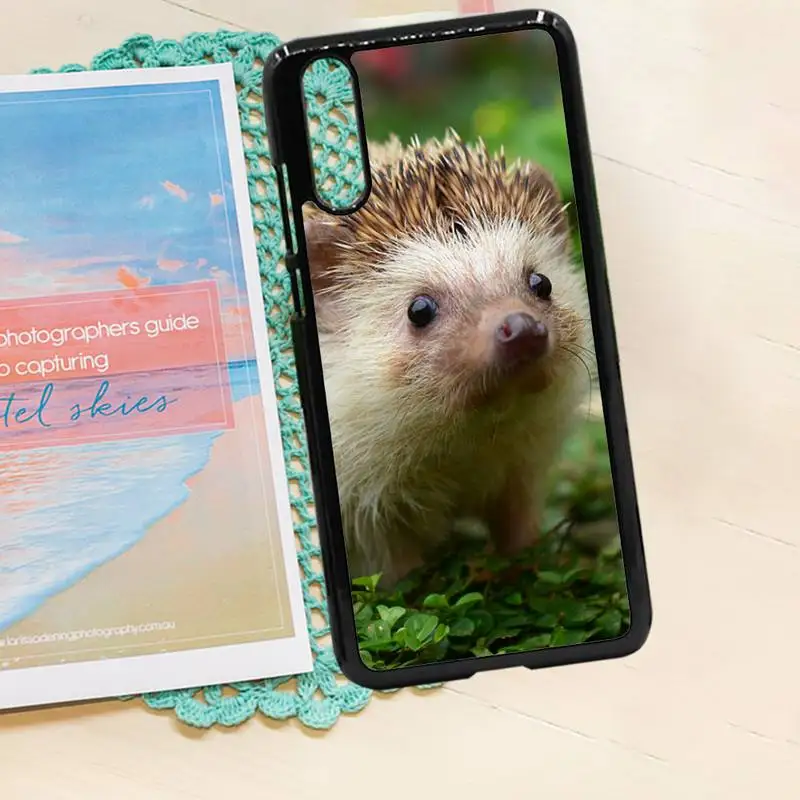 

Hedgehog cute animal Customer Phone Case PC for iPhone 11 12 pro XS MAX 8 7 6 6S Plus X 5S SE 2020 XR