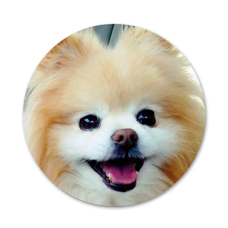 58 мм своего померанского шпица собаки значок на булавке декоративные Броши