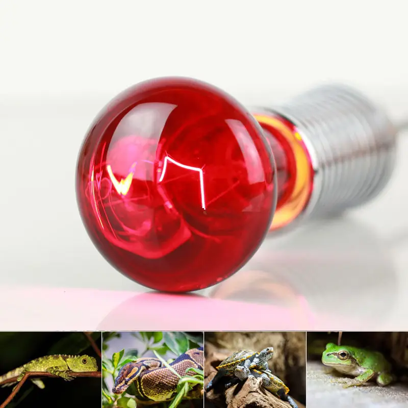 

CHICLITS Pet Heating Lamps E27 Day Night Infrared Light Bulb 40W/60W Reptile Amphibian Heating Bulb Lizard Turtle Snake Pet Lamp
