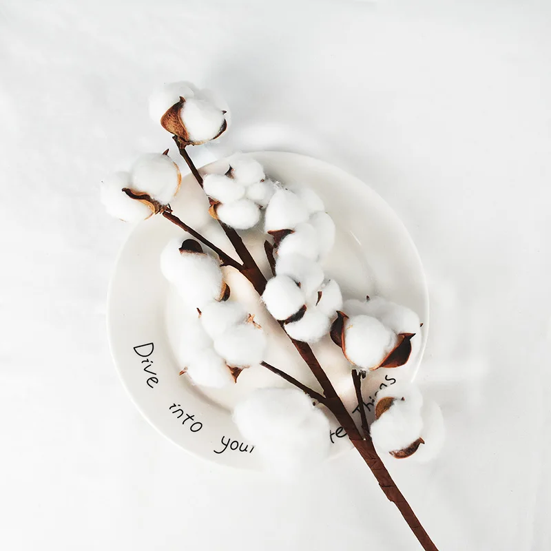 Натуральный высушенный хлопковый цветок 1 шт. 50 см длинная ветка с 10 головками