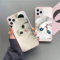 animal cat phone case candy color for iphone 6 6s 7 8 11 12 xs x se 2020 xr mini pro plus max mobile bags funda coque cover