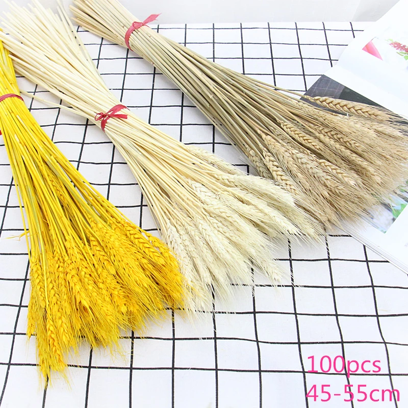 8/10/20 штук Природный сухих цветов Рид пампасной травы домашнего декора свадебных