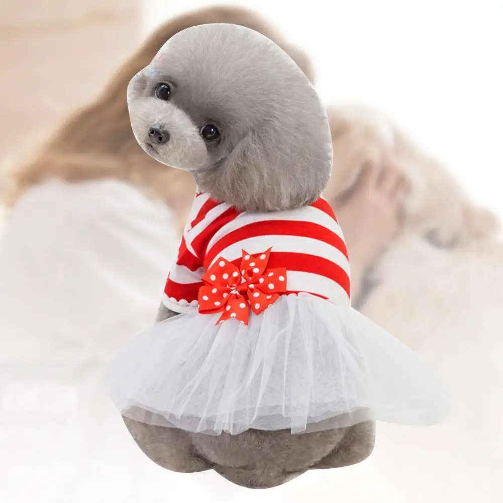 Мини-юбка в полоску для щенка с бантом |