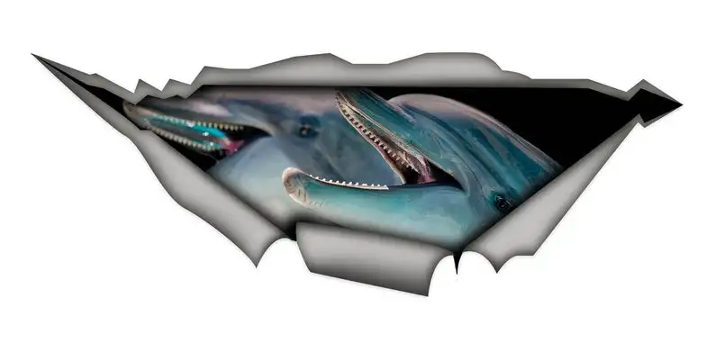 

2021 Sticker, dolphin car sticker , dolphin decal, fish sticker