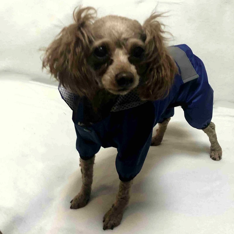 Pet small Dog Raincoat Waterproof Puppy Clothes Outdoor Coat Rain Jacket Reflective doggie Medium dog poncho Breathable mesh | Дом и сад