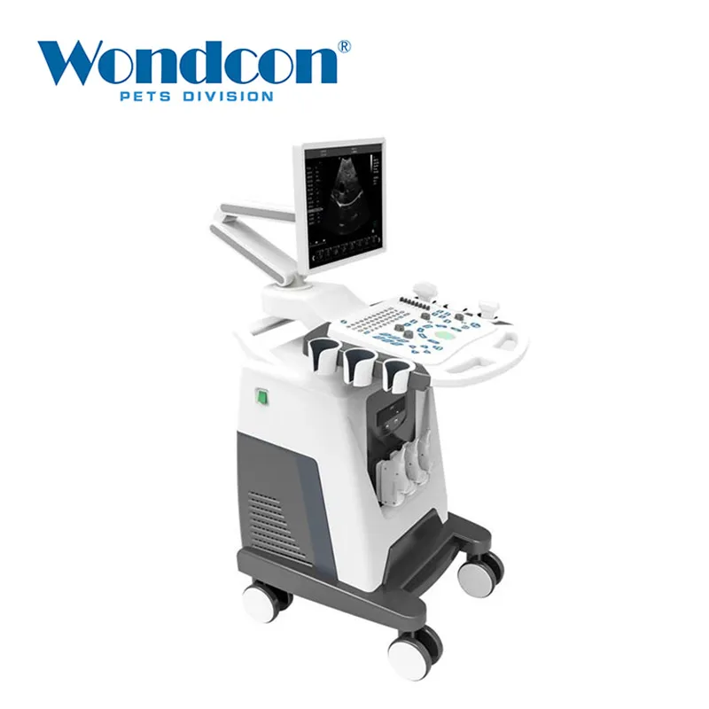 

Wondcon WMV-500BWL Trolley Color Doppler