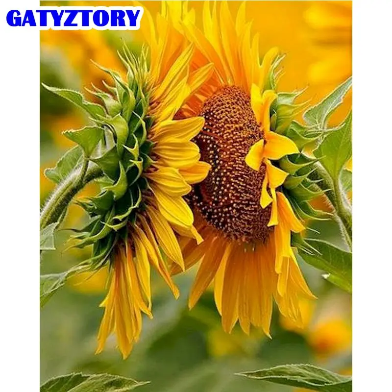 

GATYZTORY Two Sunflower Oil Painting By Numbers Kits Handmade Unique Gift For Kids 60x75cm Framed Acrylic Paint Draw Wall Decors