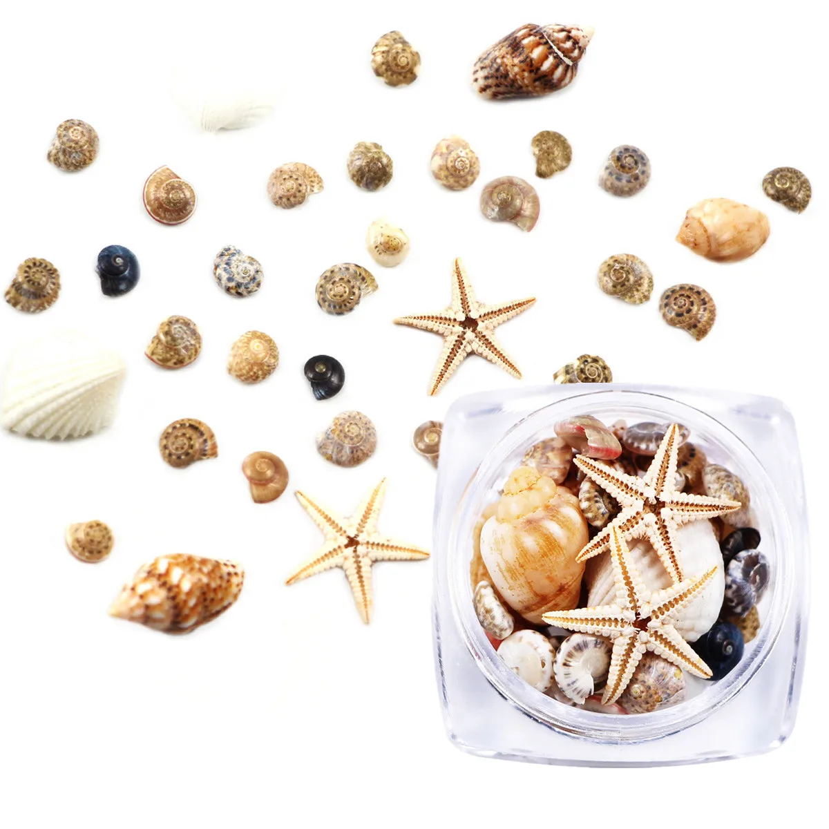 1/2/5 коробка 3D натуральные украшения для ногтей мини ракушки морские пляжные