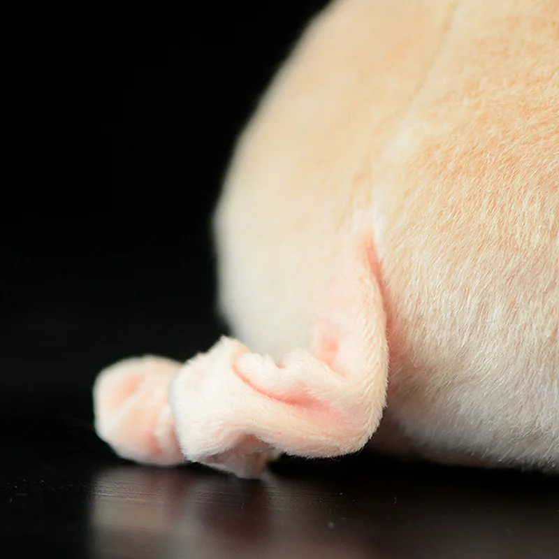 Милая свинья Реалистичная Имитация розовый Sus Scrofa домашняя кукла милая в виде животного мягкая набивная Детская плюшевая игрушка детская Подарочная коллекция