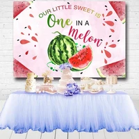 our little sweet is one in a melon backdrops watermelon pink girls summer birthday party photographic background custom