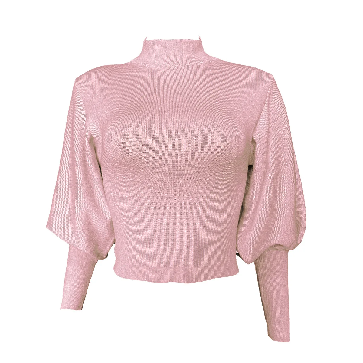 

Turtleneck Lantern Long Sleeve Sweater Women's Workout Street Knitted Sweater Tops Fall Winter