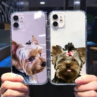 yorkshire terrier dog newest fashion novelty phone case for iphone 13 12 11 8 7 plus mini x xs xr pro max transparent soft