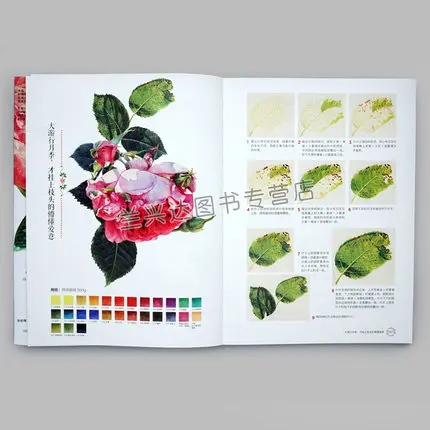 Новые растения и цветы Книга Grundkurs Aquarellmalerei акварельная картина учебное пособие