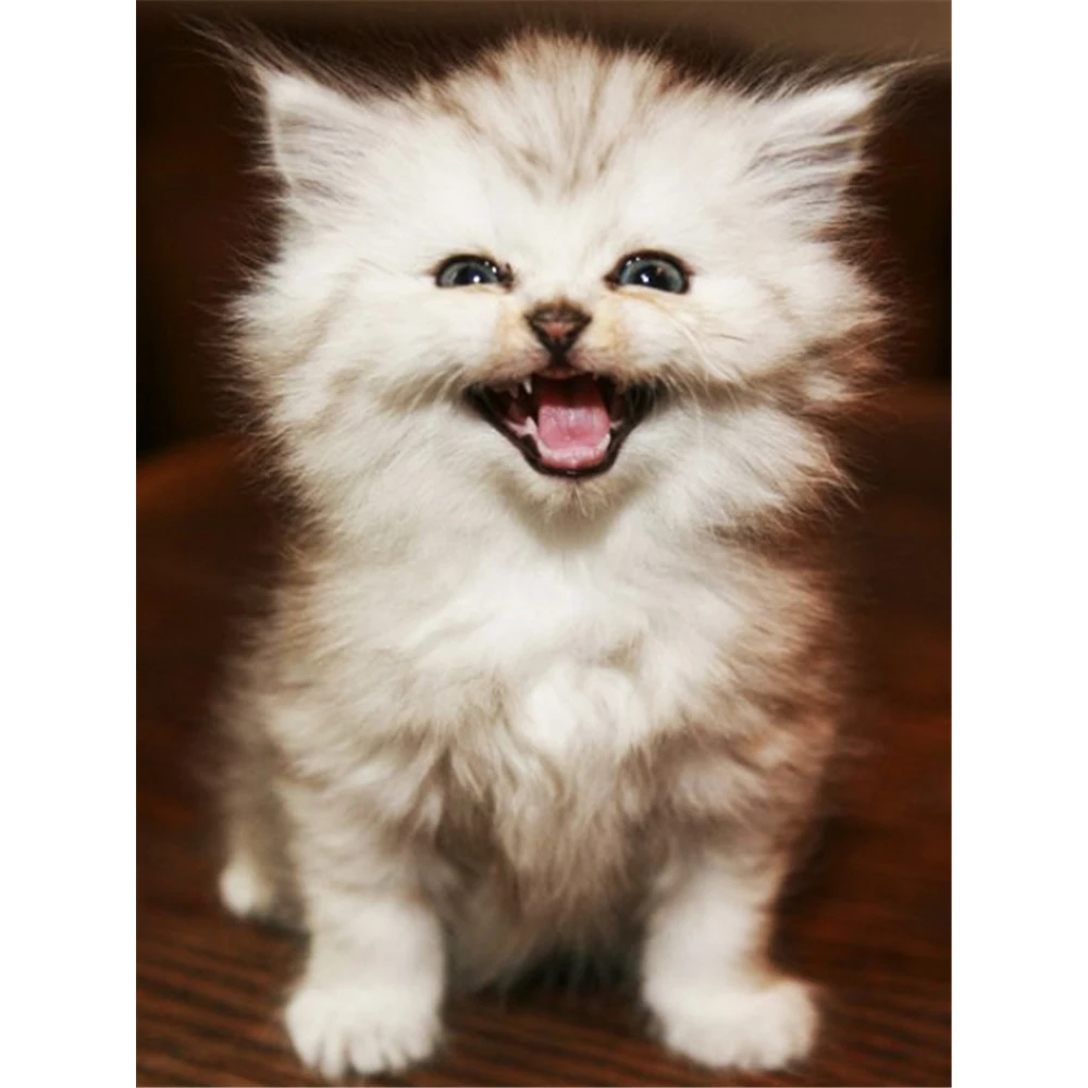 Cat Animal DIY Cross Stitch 11CT Embroidery Kits Craft Needlework Set Printed Canvas Cotton Thread Home Decoration On Sell | Дом и сад