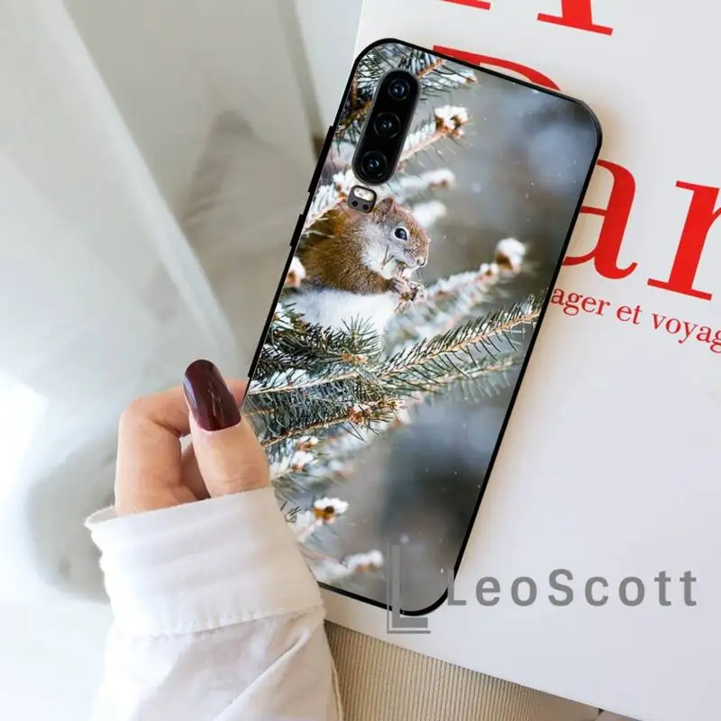 

squirrel in the snow Phone Case For Huawei honor Mate P 9 10 20 30 40 Pro 10i 7 8 a x Lite nova 5t