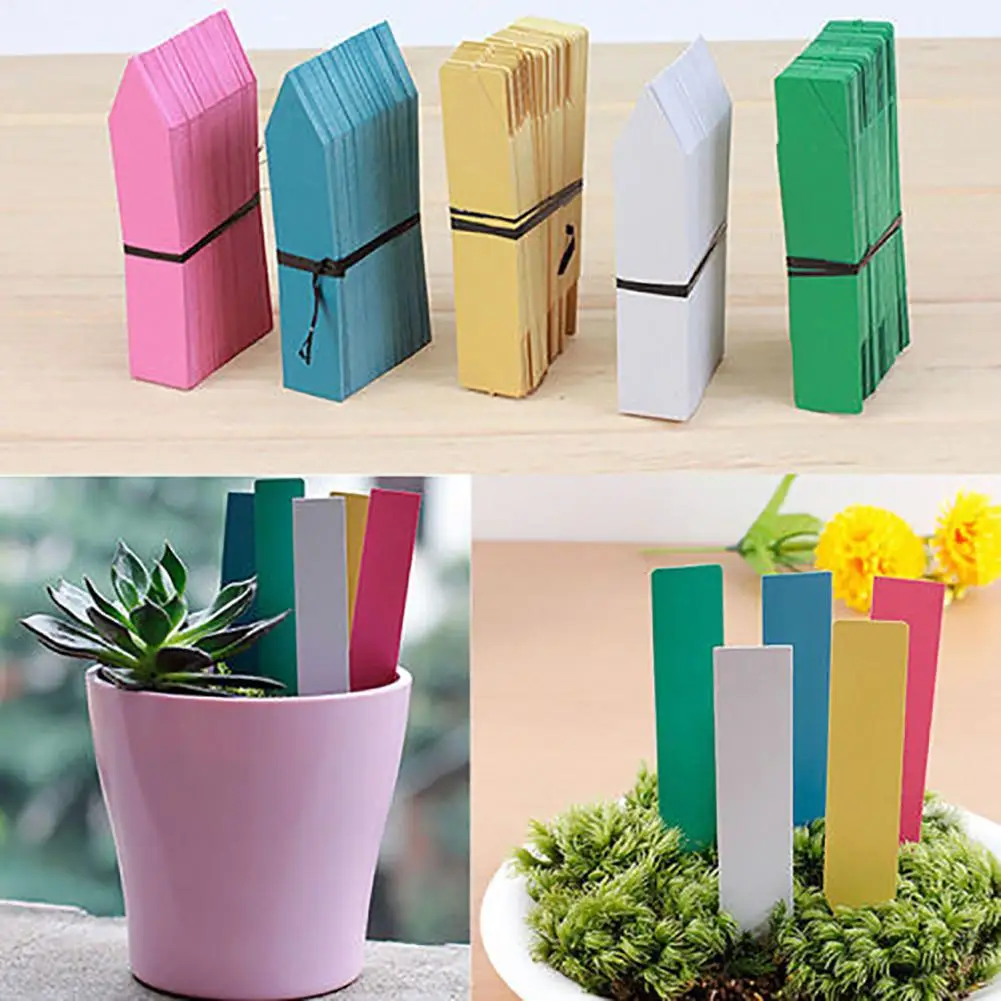 

100Pcs Mini Plastic Plant Seed Labels Pot Marker Nursery Garden Stake Tags Tool Thick Tag Markers for Plants Garden Decoration