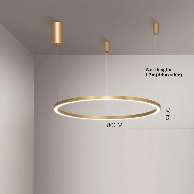 1ring D80cm LukLoy, новинка, Современные Простые Кольца, люстра, для дома, гостиной, подвеска, Золотая лампа, подвеска для столовой, затемненный Лофт светильник - Цвет абажура: 1ring D80cm
