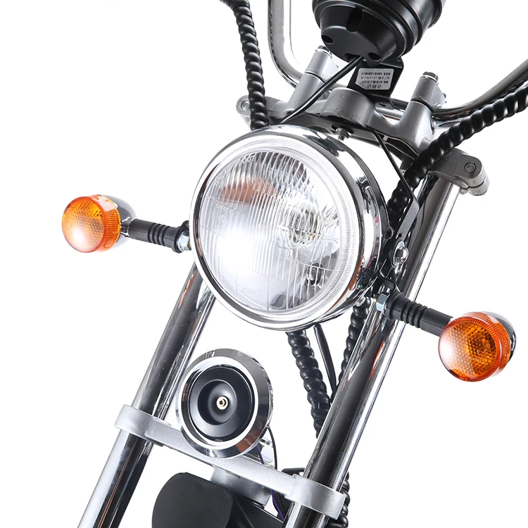 EEC/COC дорожный легальный город coco APP GPS система большая шина 1500 Вт Электрический