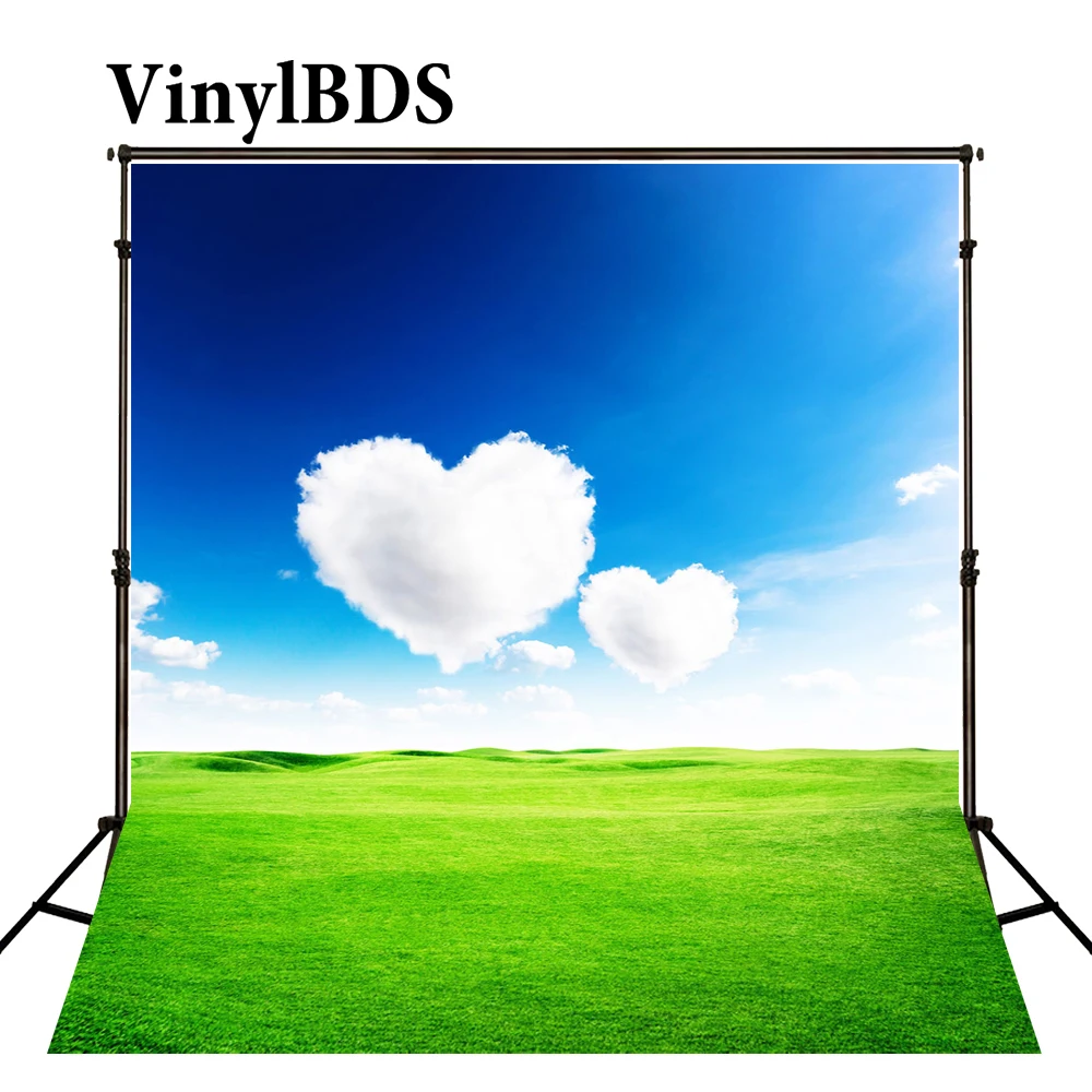 VinylBDS День Святого Валентина фон для фотосъемки пейзаж голубое небо и зеленые