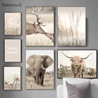 Настенные картины с природным ландшафтом, постеры с цветами, сеном, слоном, оленем, скандинавский настенный плакат для украшения гостиной