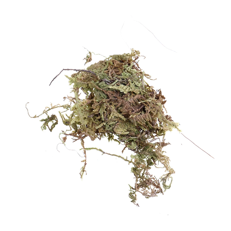 10 г сухой мох Садовые принадлежности увлажняющее питание органическое удобрение