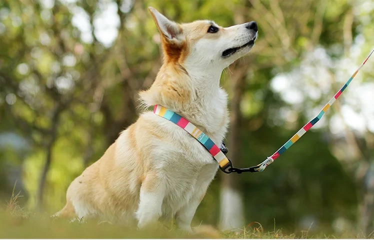 Собачий ошейник для питомцев трос собак набор анти лебинг P Веревка дизайн