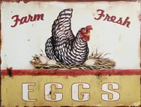 retro metal tin sign vintage farm fresh eggs aluminum sign for kitchen home coffee wall decor 8x12 inch